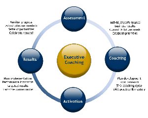 Executive Coaching Service