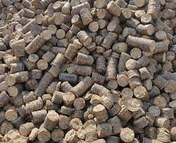 Bio Mass Briquettes