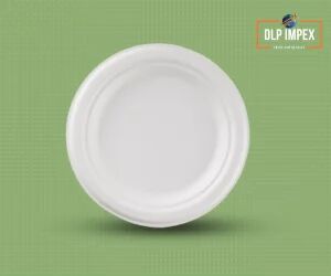 10 Inch Round Sugarcane Bagasse Plate