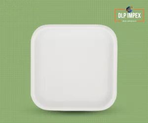 10 Inch Square Sugarcane Bagasse Plate