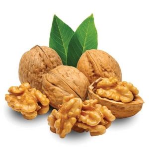 Shelled Walnuts