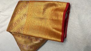 kanchi tissue saree