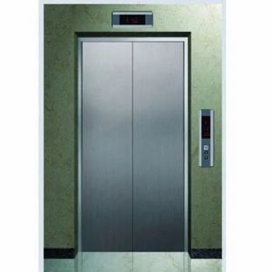 Mild Steel Passenger Elevator