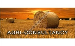 agri business consultancy