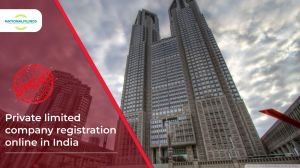 Private Limited Company Registration