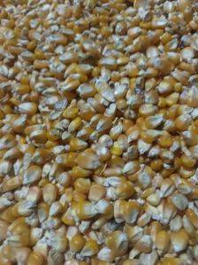 Maize Starch