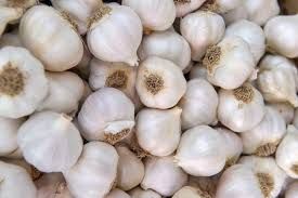 Fresh Garlic