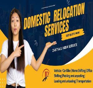 domestic relocation service