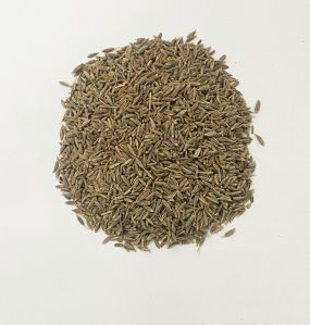 Cumin Seeds