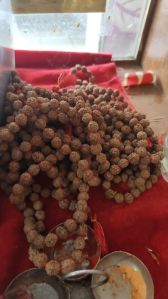 5-10mm rudraksha mala