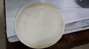 9 Inch Areca Leaf Plate