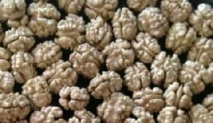 Walnut Kernels