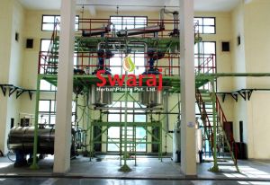 Vertical Extraction Plant