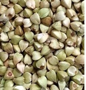 Buckwheat Seed