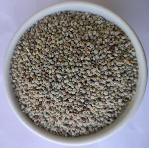 Raw Red Quinoa Seeds