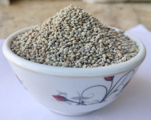 Raw Red Quinoa Seeds