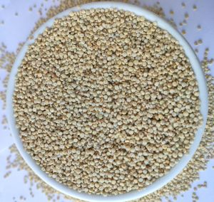 Raw Regular Quinoa Seeds