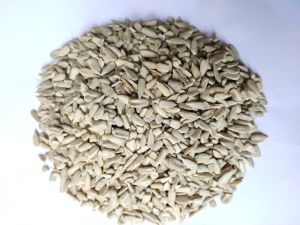 sunflower seeds