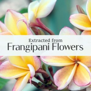 Frangipani essential oil-15ml