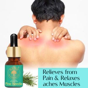 Pine Needle Essential Oil