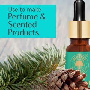 Pine Needle Essential Oil