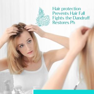Pine Needle Essential Oil