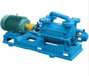 Two Stage Water Ring Electric Vacuum Pump