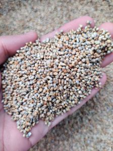 Green Millet