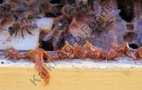 Raw Bee Propolis