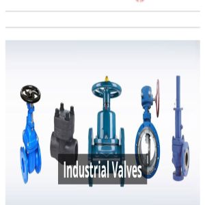 Industrial Valve