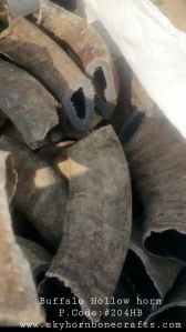 Buffalo Hollow Horn