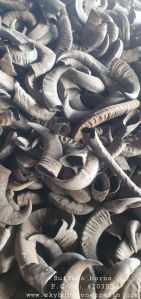 Natural Buffalo Horn