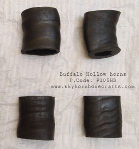Buffalo Hollow Horn