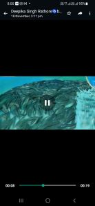 Fresh Murrel Fish