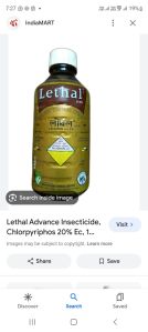 lithal chlorpyrifos ec insecticide