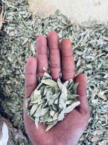 Dry Senna Leaves