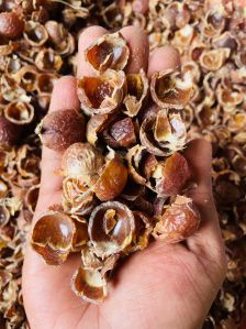 soapnut shells