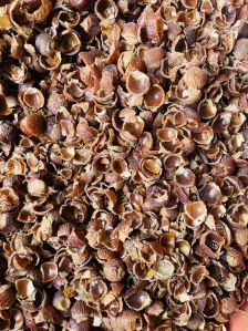 soapnut shells