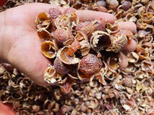 soapnut shells
