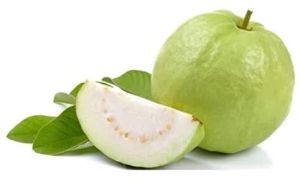 Fresh Guava