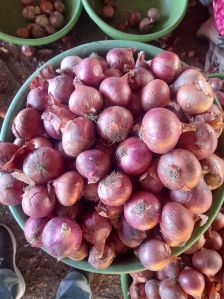 Red Onion