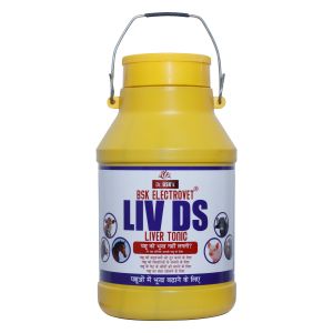 Dr. Bsk Electrovet LIV DS Liver Tonic