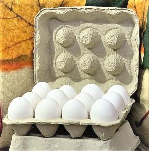 Paper Pulp Egg Tray