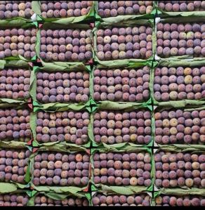 Fresh Figs