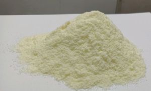 Spray Dried Coconut Water Powder