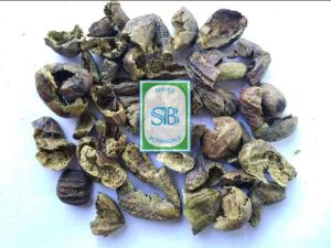 Harad Seedless (Terminalia Chebula)