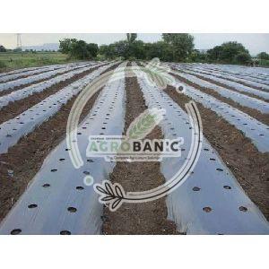 Mulching Paper