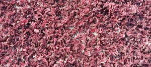 Dry Hibiscus Flowers