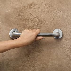 Stainless Steel Grab Bar