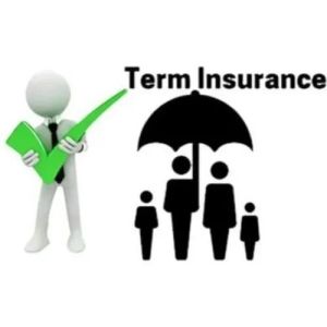 Term Insurance Plan Service